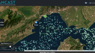 Oceancast platform